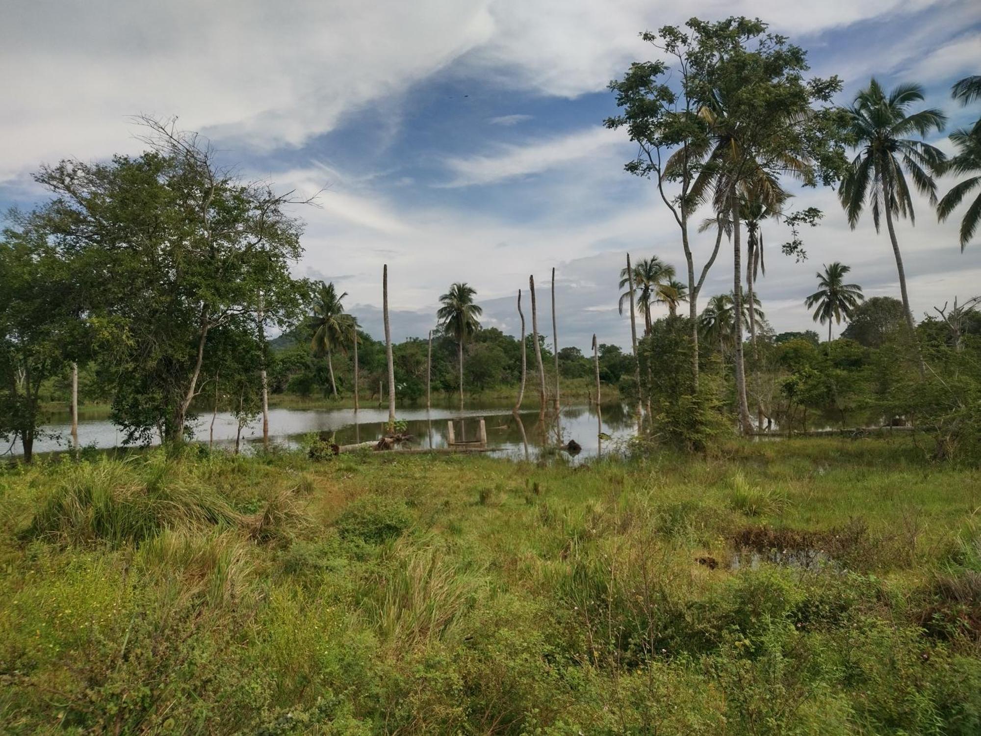 Nature Kingdom Botanical Garden Villa Hambegamuwa Exterior photo