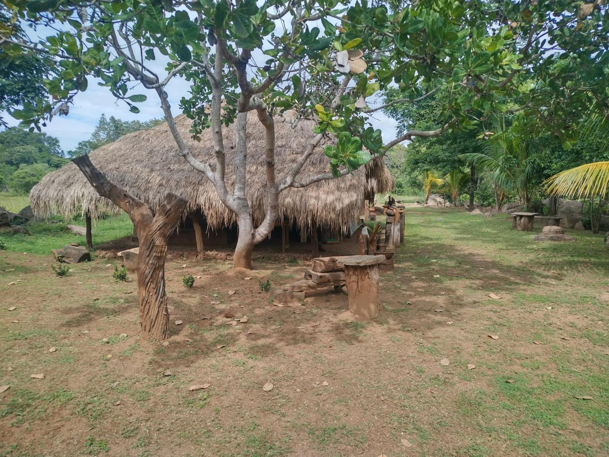 Nature Kingdom Botanical Garden Villa Hambegamuwa Exterior photo