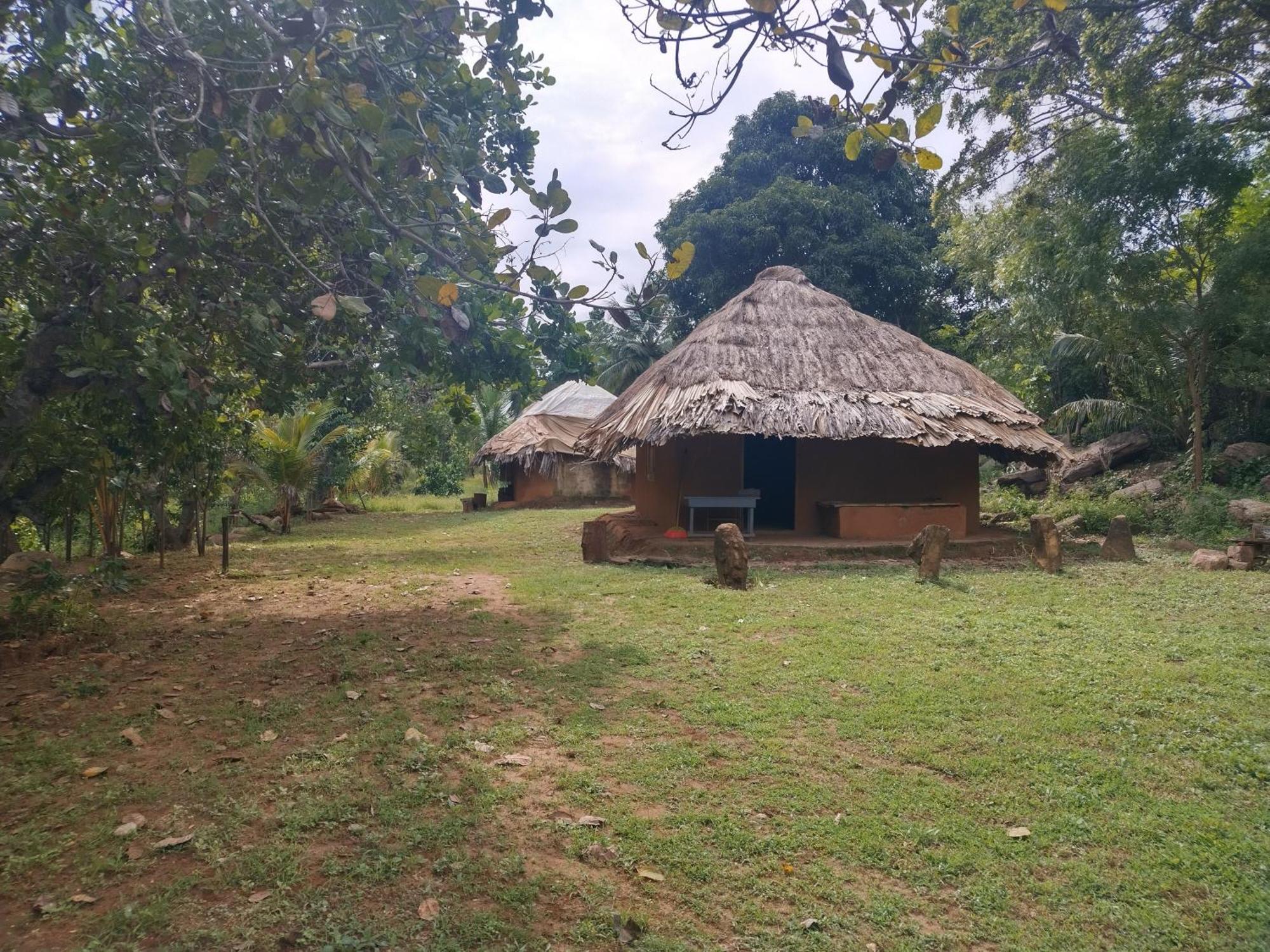 Nature Kingdom Botanical Garden Villa Hambegamuwa Exterior photo