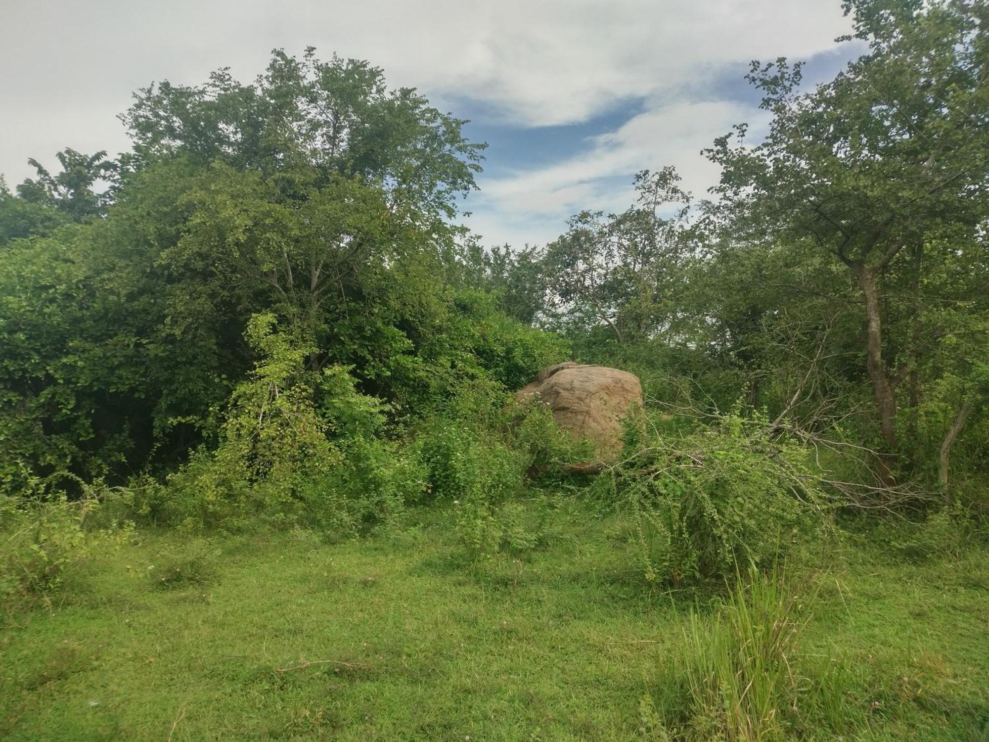 Nature Kingdom Botanical Garden Villa Hambegamuwa Exterior photo