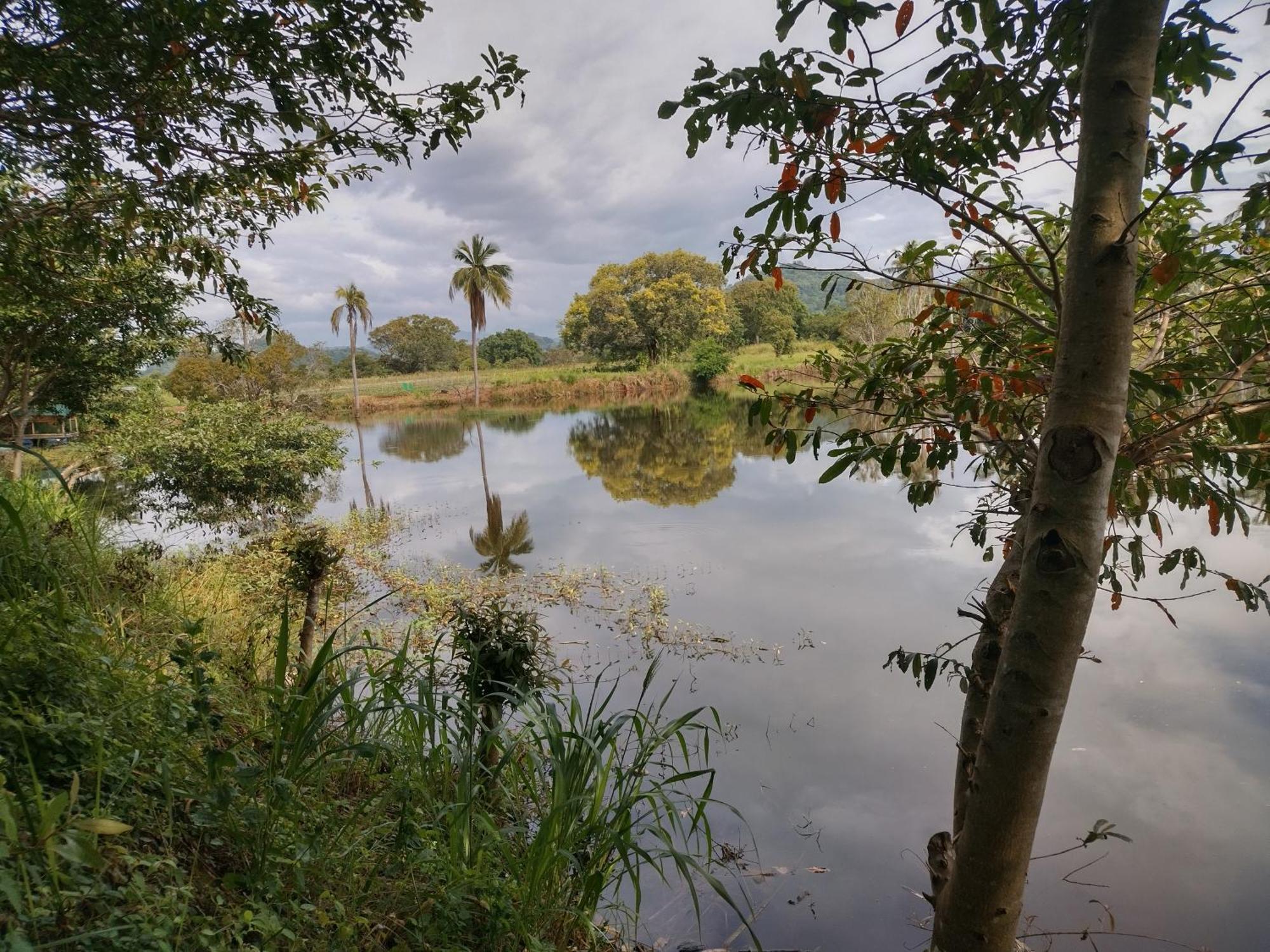 Nature Kingdom Botanical Garden Villa Hambegamuwa Exterior photo