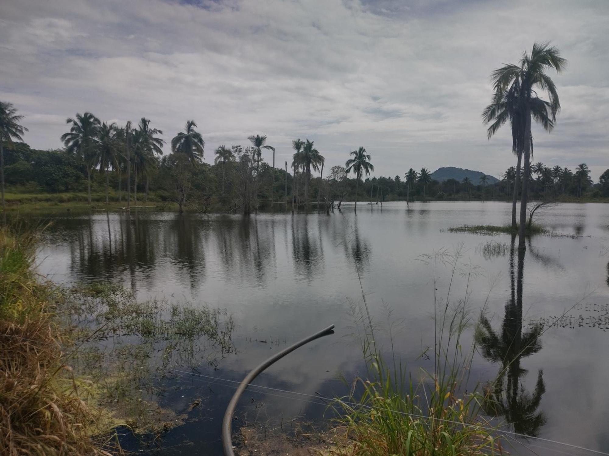 Nature Kingdom Botanical Garden Villa Hambegamuwa Exterior photo